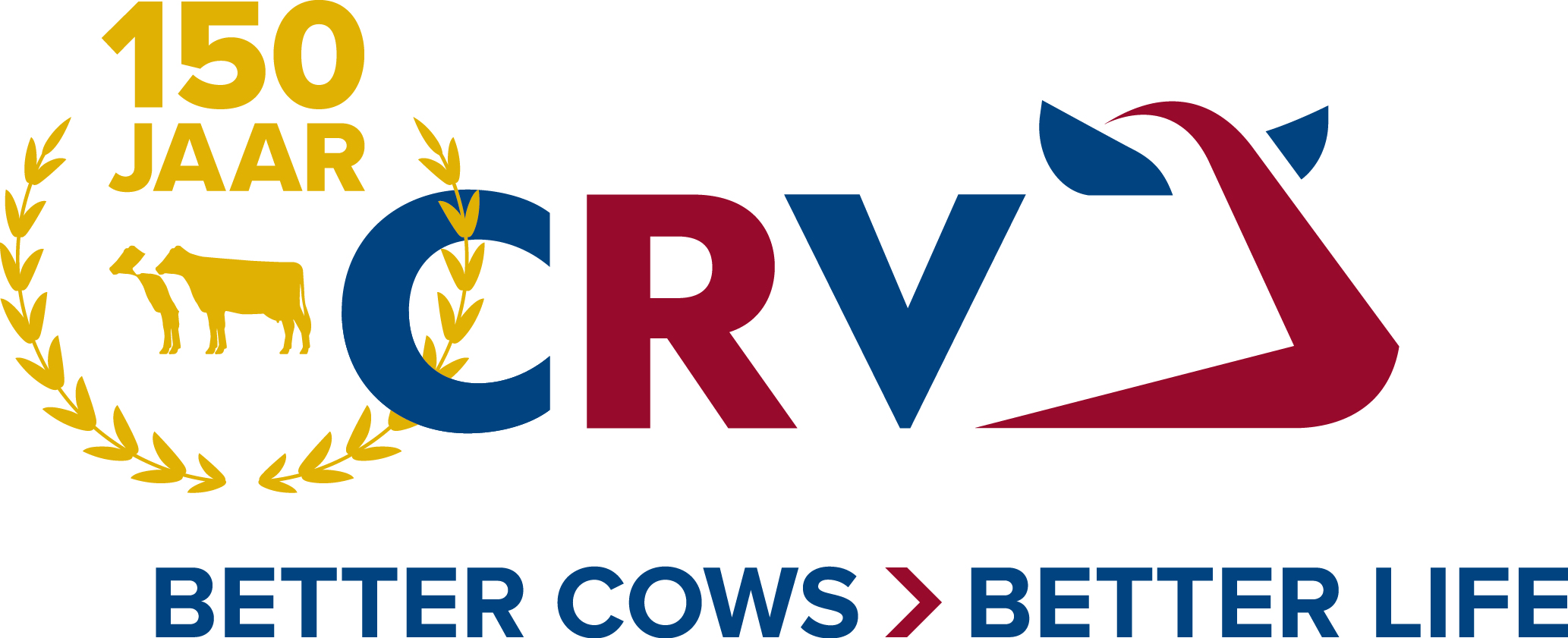 CRV op beeldscherm