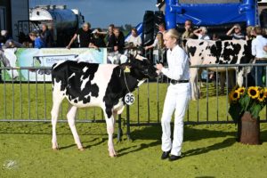 Henk Lomulder deel 1 (21)