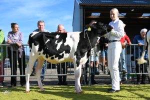 Henk Lomulder deel 1 (4)